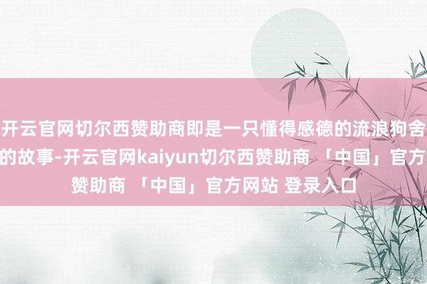 开云官网切尔西赞助商即是一只懂得感德的流浪狗舍命救遇险女子的故事-开云官网kaiyun切尔西赞助商 「中国」官方网站 登录入口