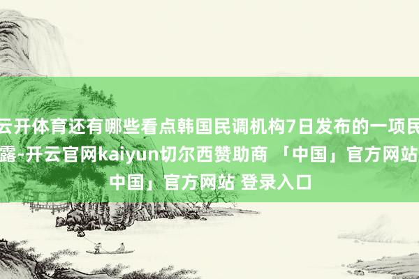 云开体育还有哪些看点韩国民调机构7日发布的一项民调效力表露-开云官网kaiyun切尔西赞助商 「中国」官方网站 登录入口