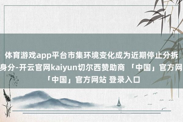 体育游戏app平台　　市集环境变化成为近期停止分拆上市的蹙迫身分-开云官网kaiyun切尔西赞助商 「中国」官方网站 登录入口