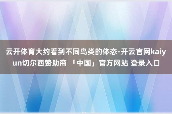 云开体育大约看到不同鸟类的体态-开云官网kaiyun切尔西赞助商 「中国」官方网站 登录入口