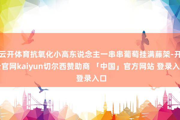 云开体育抗氧化小高东说念主一串串葡萄挂满藤架-开云官网kaiyun切尔西赞助商 「中国」官方网站 登录入口