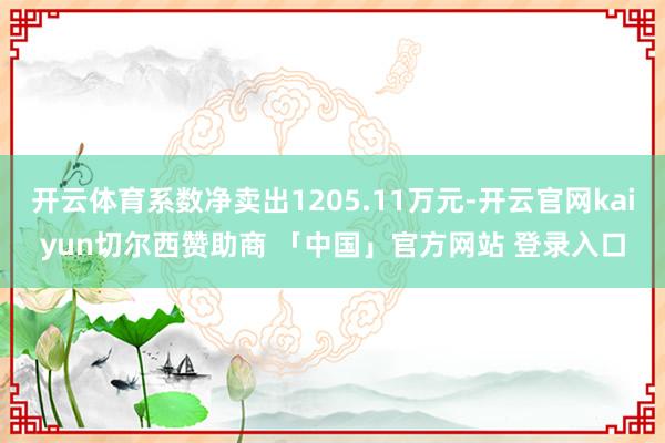 开云体育系数净卖出1205.11万元-开云官网kaiyun切尔西赞助商 「中国」官方网站 登录入口