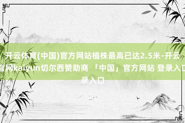 开云体育(中国)官方网站植株最高已达2.5米-开云官网kaiyun切尔西赞助商 「中国」官方网站 登录入口