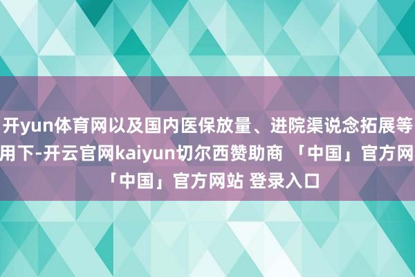 开yun体育网以及国内医保放量、进院渠说念拓展等身分共同作用下-开云官网kaiyun切尔西赞助商 「中国」官方网站 登录入口