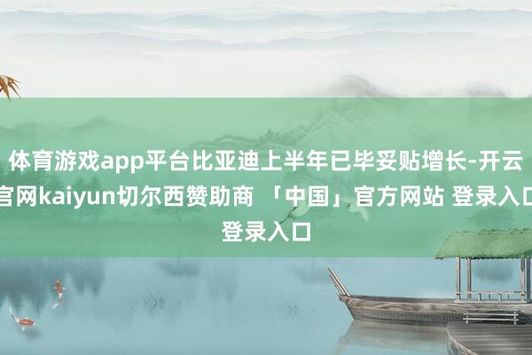 体育游戏app平台比亚迪上半年已毕妥贴增长-开云官网kaiyun切尔西赞助商 「中国」官方网站 登录入口