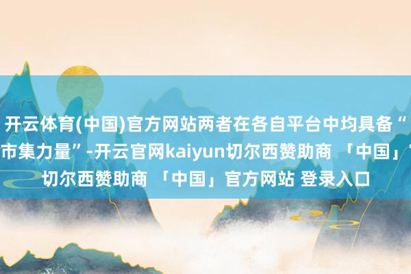 开云体育(中国)官方网站两者在各自平台中均具备“权贵且树大根深的市集力量”-开云官网kaiyun切尔西赞助商 「中国」官方网站 登录入口