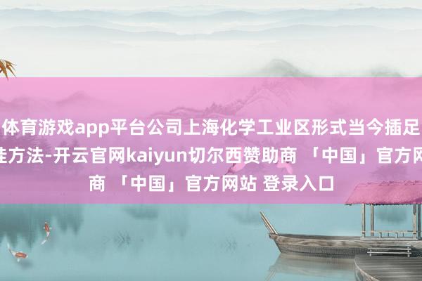 体育游戏app平台公司上海化学工业区形式当今插足到地盘招拍挂方法-开云官网kaiyun切尔西赞助商 「中国」官方网站 登录入口
