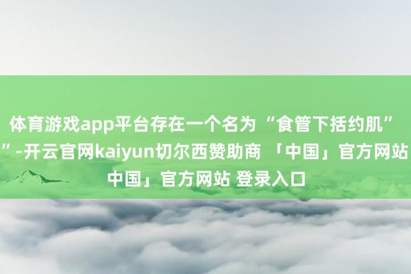 体育游戏app平台存在一个名为 “食管下括约肌” 的 “阀门”-开云官网kaiyun切尔西赞助商 「中国」官方网站 登录入口