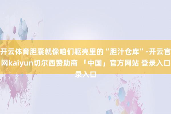 开云体育胆囊就像咱们躯壳里的“胆汁仓库”-开云官网kaiyun切尔西赞助商 「中国」官方网站 登录入口