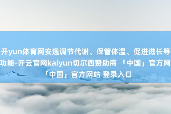 开yun体育网安逸调节代谢、保管体温、促进滋长等一系列伏击功能-开云官网kaiyun切尔西赞助商 「中国」官方网站 登录入口