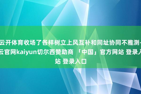 云开体育收场了各样树立上风互补和同址协同不雅测-开云官网kaiyun切尔西赞助商 「中国」官方网站 登录入口